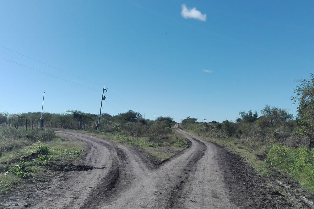 Tramamos Futuro: se realizará un encuentro con escuelas secundarias rurales