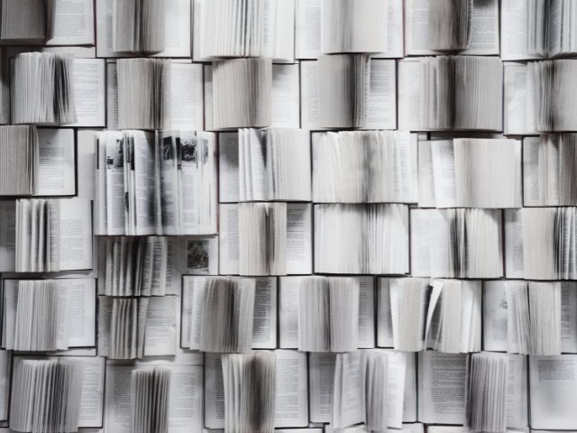 Día de las Editoras y los Editores