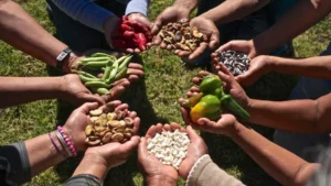 Se dictará un seminario de posgrado sobre sustentabilidad y soberanía alimentaria