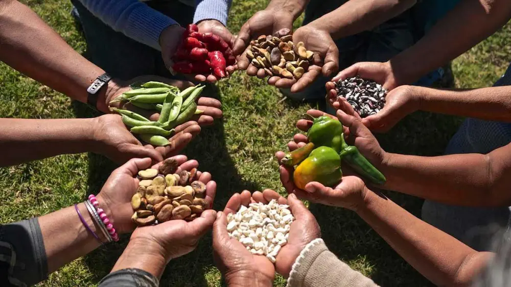 Se dictará un seminario de posgrado sobre sustentabilidad y soberanía alimentaria