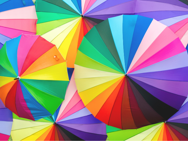 Encuentro sobre ESI: experiencias, desafíos y resistencias en tiempos de ultraderecha