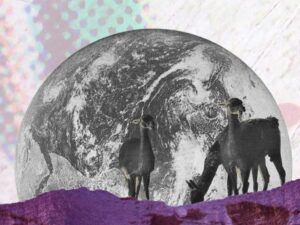 Se publicó el 1º número de Pliego, nueva revista de la FCEDU sobre actualidad editorial