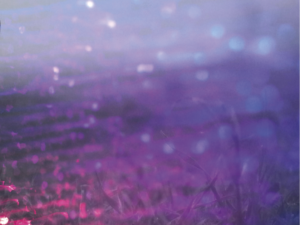 La revista “del prudente Saber…” publicó su número 22