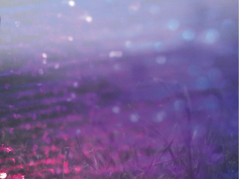 La revista “del prudente Saber…” publicó su número 22