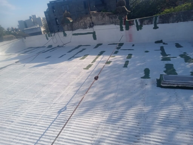 WhatsApp Image 2025-12-04 at 10.59.48 AM (1)