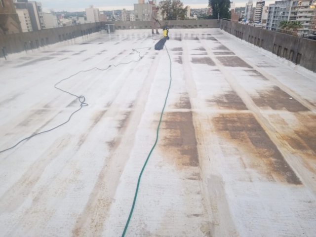 WhatsApp Image 2025-12-04 at 10.59.49 AM