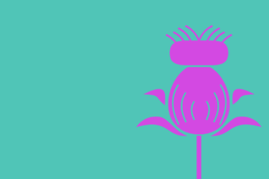 El Cardo invita a leer su último número