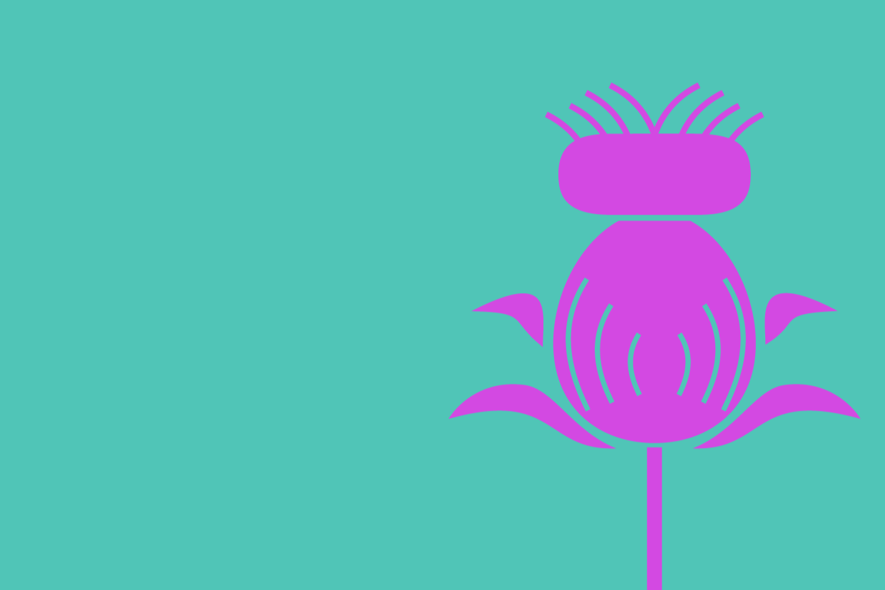 El Cardo invita a leer su último número